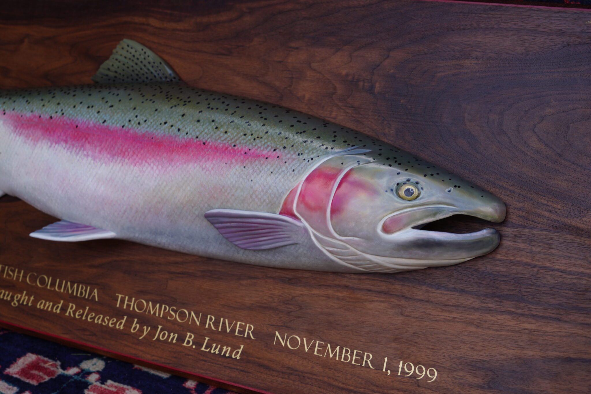 A close-up shot of silver and pink colour fish