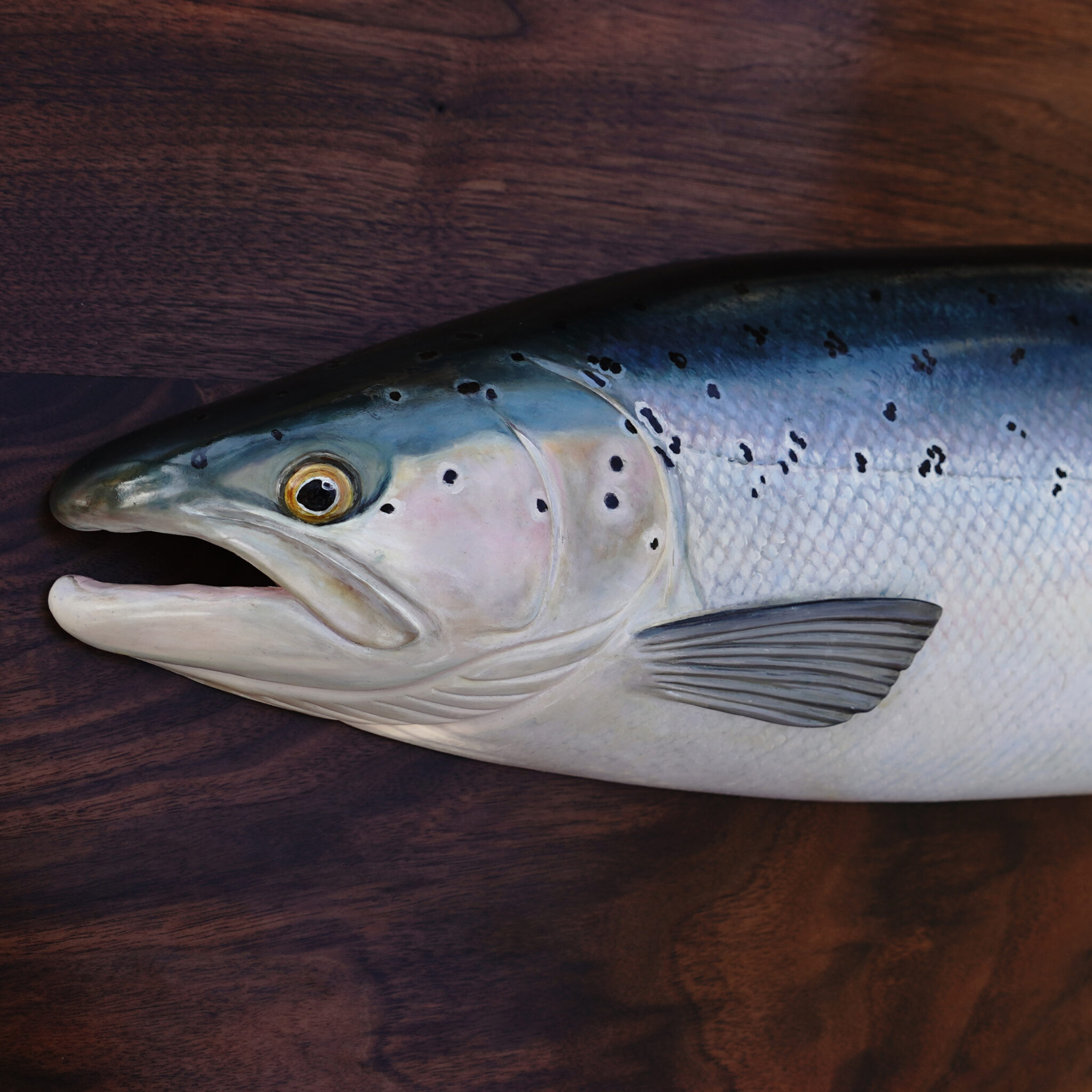 A close-up shot of Maclin-salmon fish design
