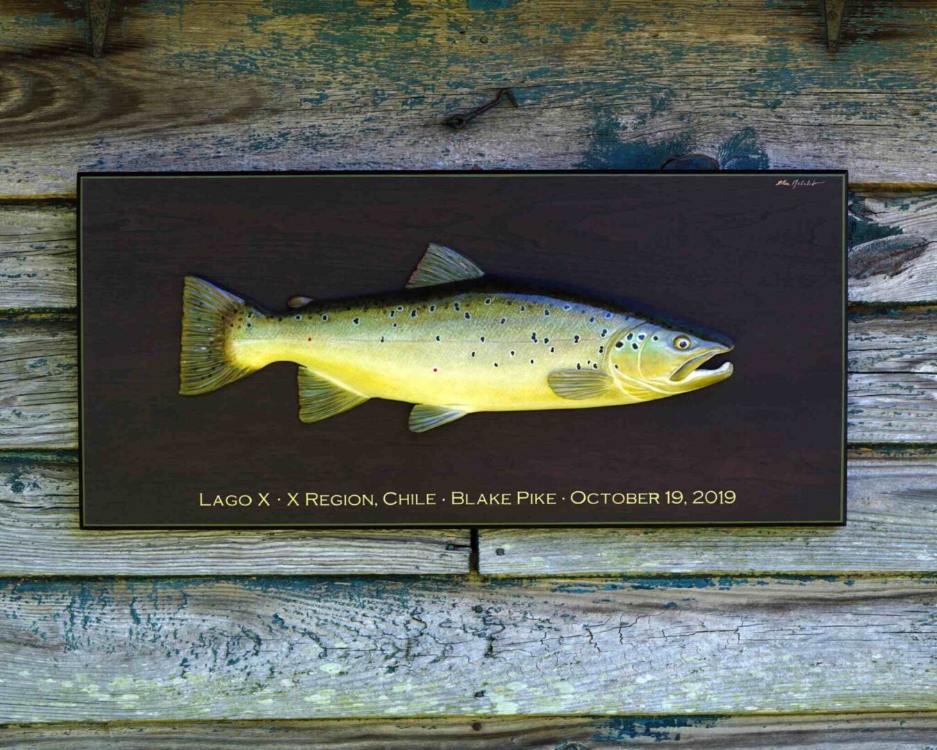 A long shot Fish carving on wooden board